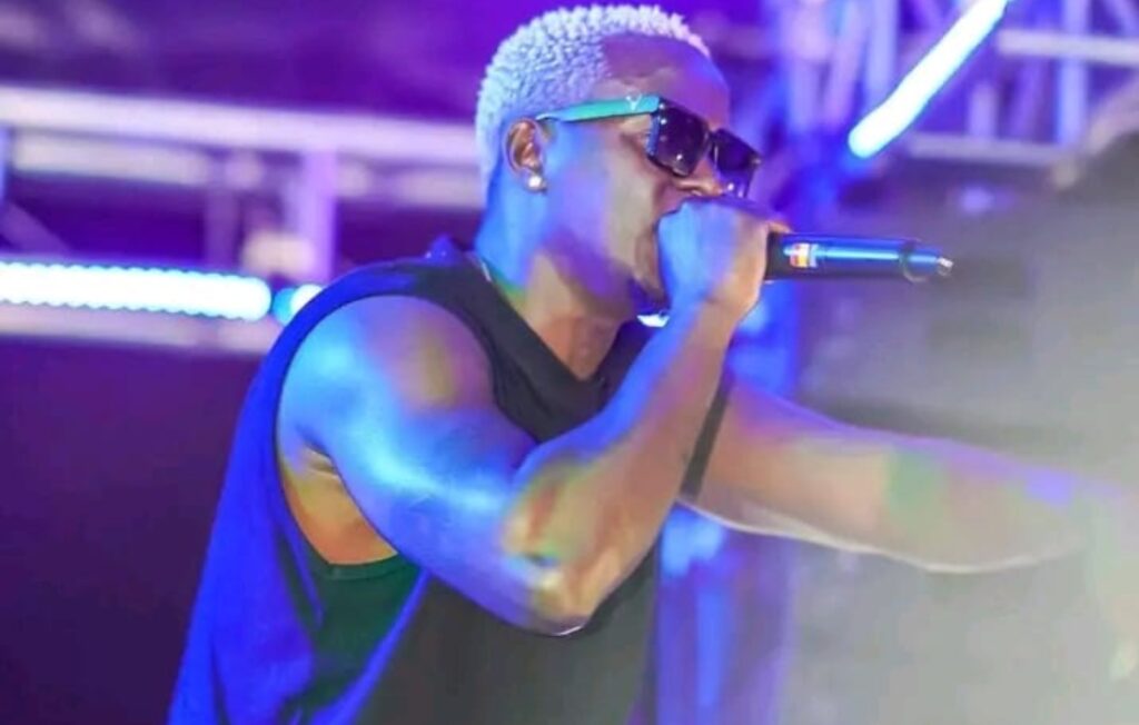 Musician Willy Paul