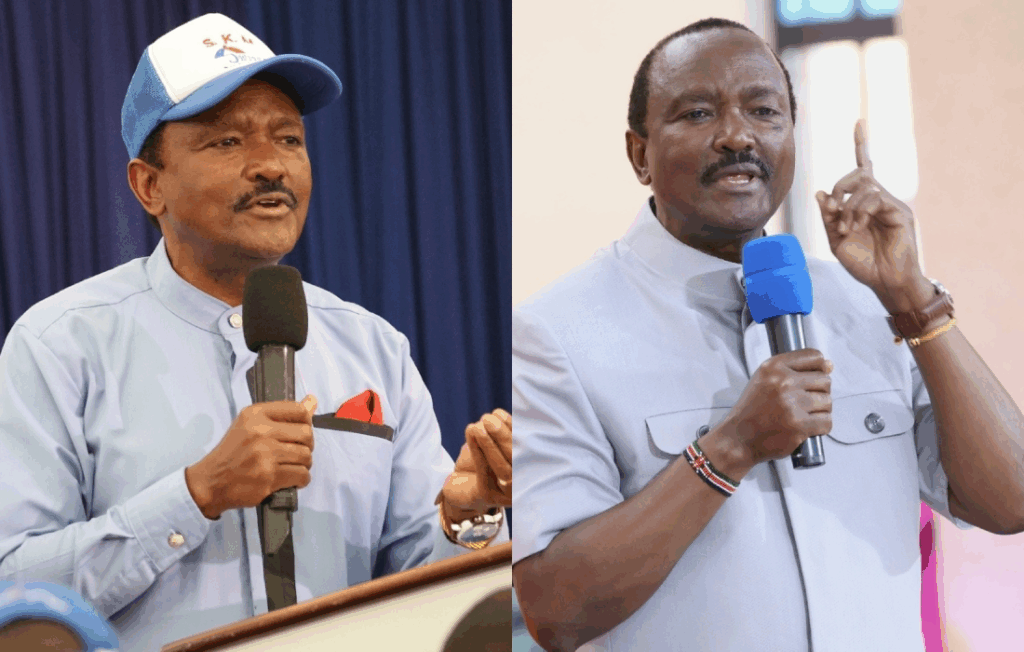 Kalonzo