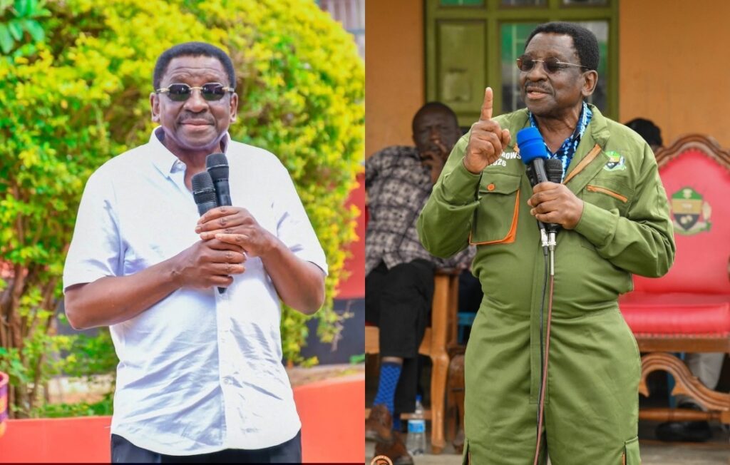 Orengo